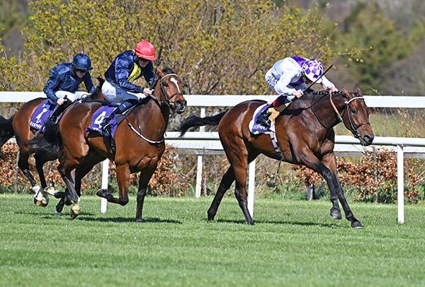 Boundless Ocean flows home