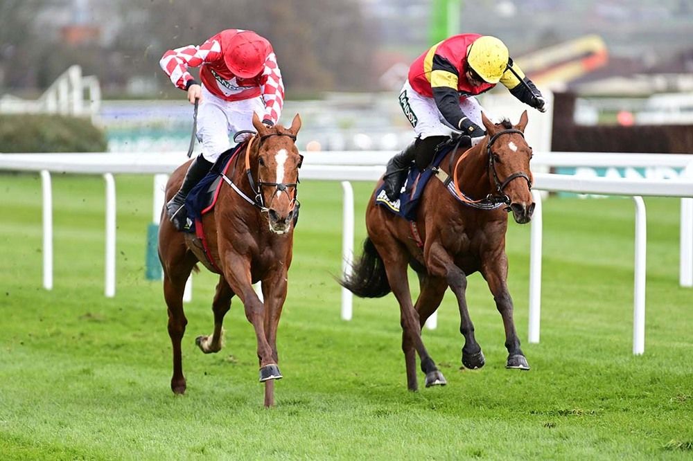 Knight Salute and Paddy Brennan (right) battle with Pied Piper
