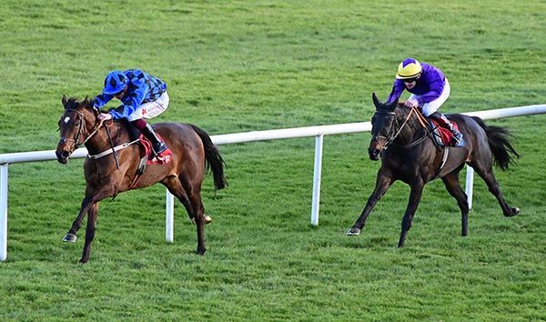 Vischio and Dylan Browne McMonagle beat Scalor