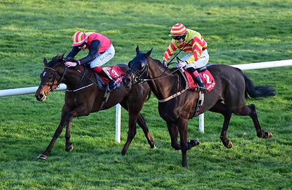 Star Of Burma (inner) beats Hammersmith