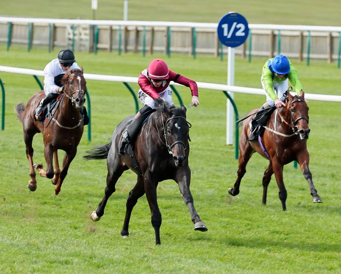 Eydon could yet take up his Cumberland Lodge Stakes entry 