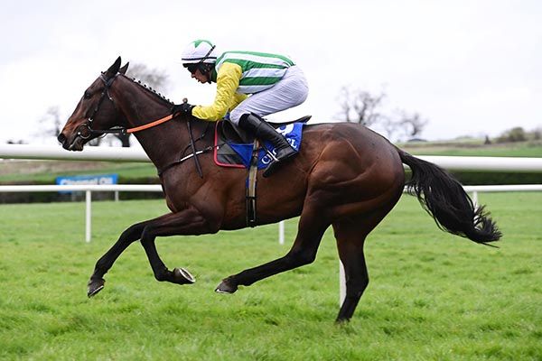 Shanbally Kid and Eoin O'Brien easily win the bumper