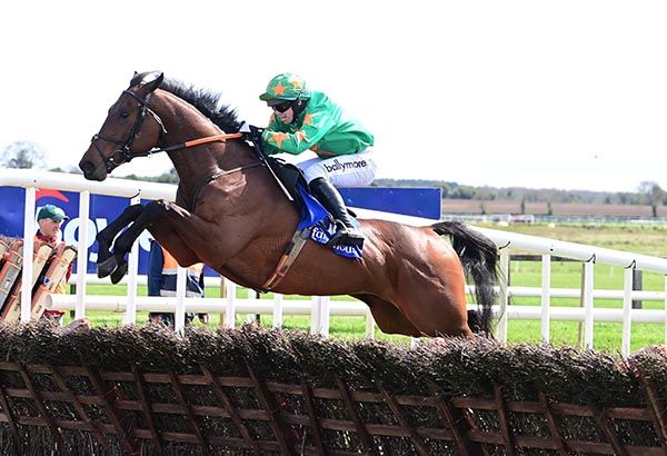 Whatsavailable made all at Fairyhouse