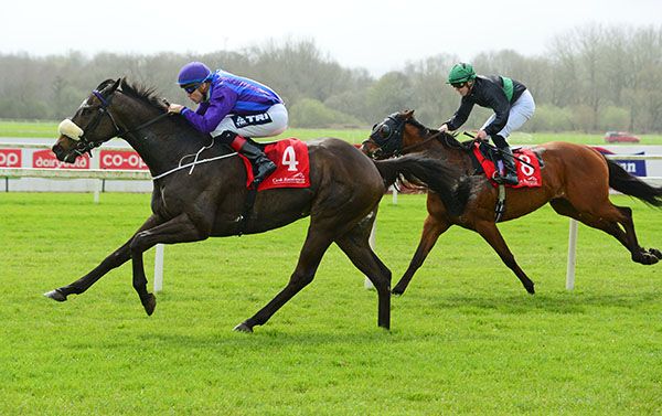 Run The Jewels battled on well at Cork 
