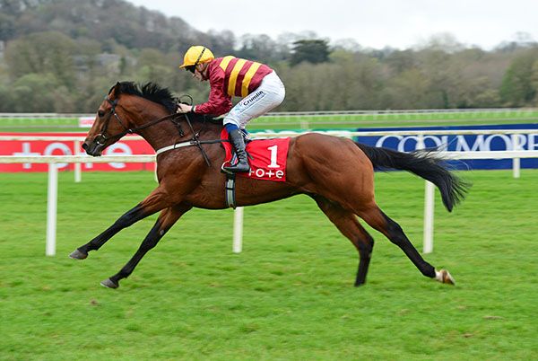 French Claim looked an exciting prospect at Cork 
