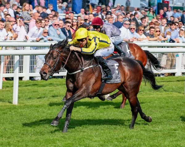 Perfect Power winning at Newbury in 2022