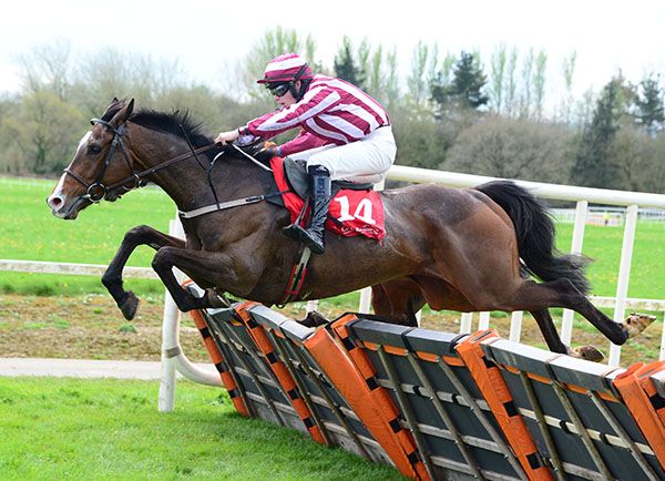 Tenzing and Kieran Callaghan win the Coolagown Stud Maiden Hurdle.
