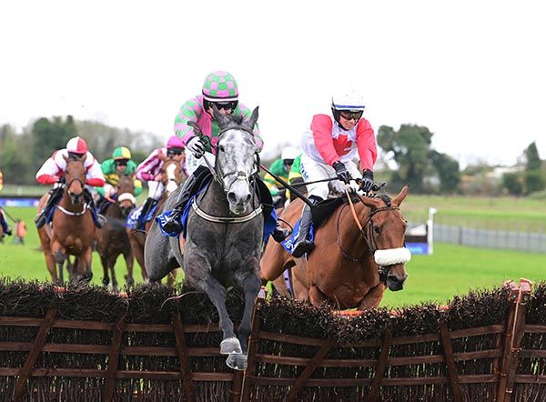 Ideal Pal made winning handicap debut.