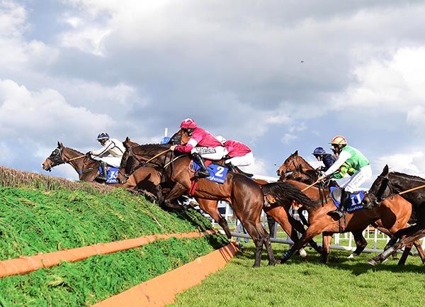 Defi Bleu won under Shane Fitzgerald