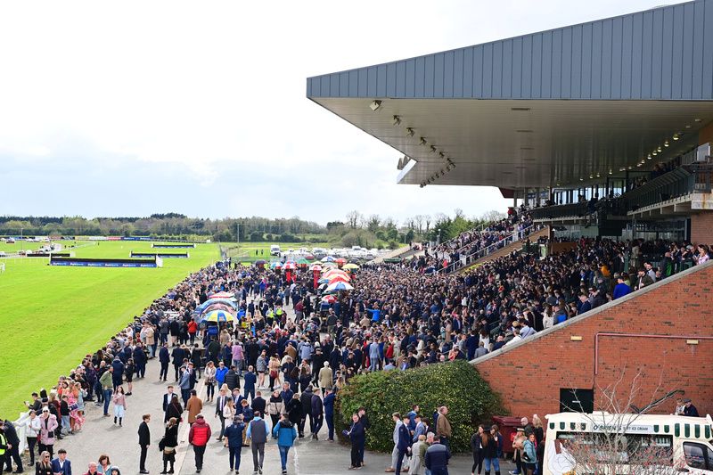 Fairyhouse