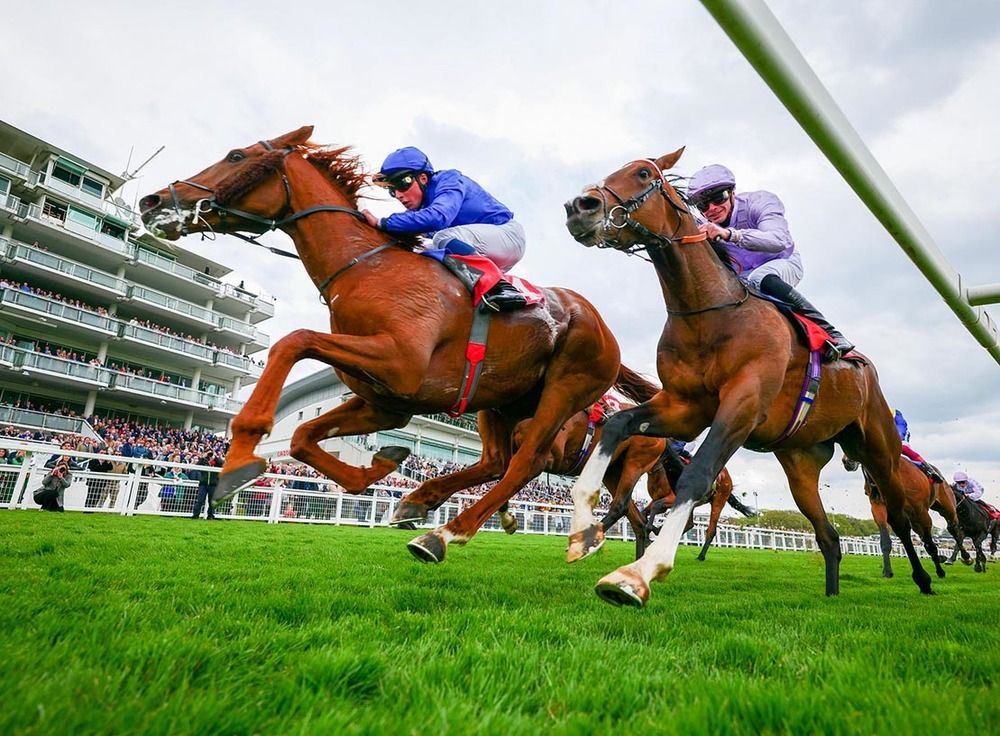 Grand Alliance, right