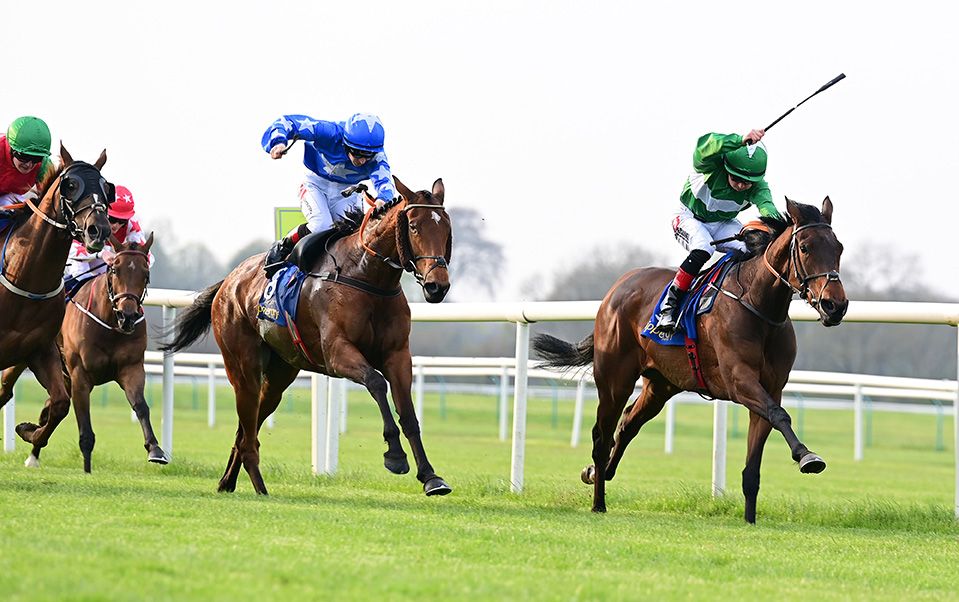 Matilda With Me (blue) collars Carirose (green) 