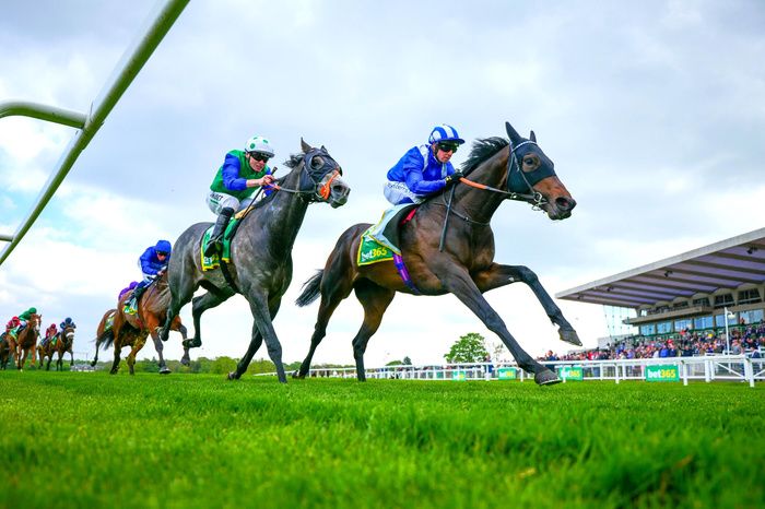 Wanees and Jim Crowley win the bet365 Esher Cup Handicap Class 2 Sandown Pk 22 4 2022HEALY RACING