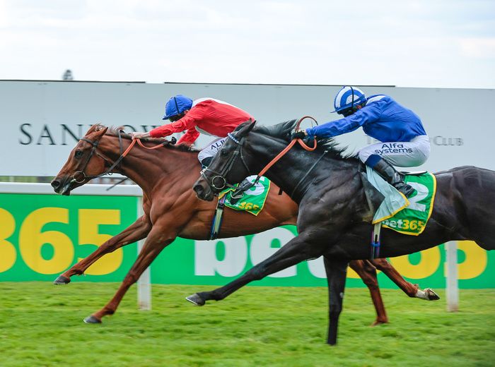 Mutasaabeq and Jim Crowley 