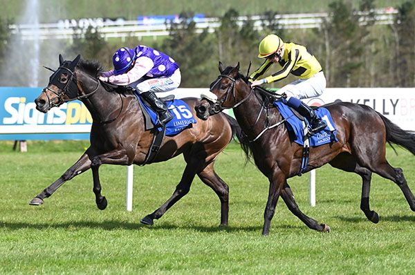 Needle Lace leads Admiralty Place