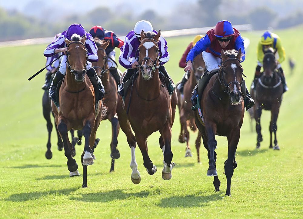 Arbutus completed fabulous five-timer for Ballydoyle. 