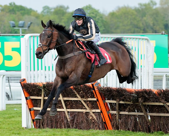 McFabulous pictured in action over flights