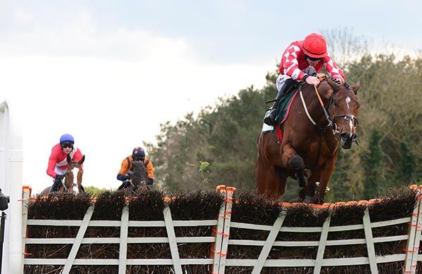 Mighty Potter and Jack Kennedy jump the last