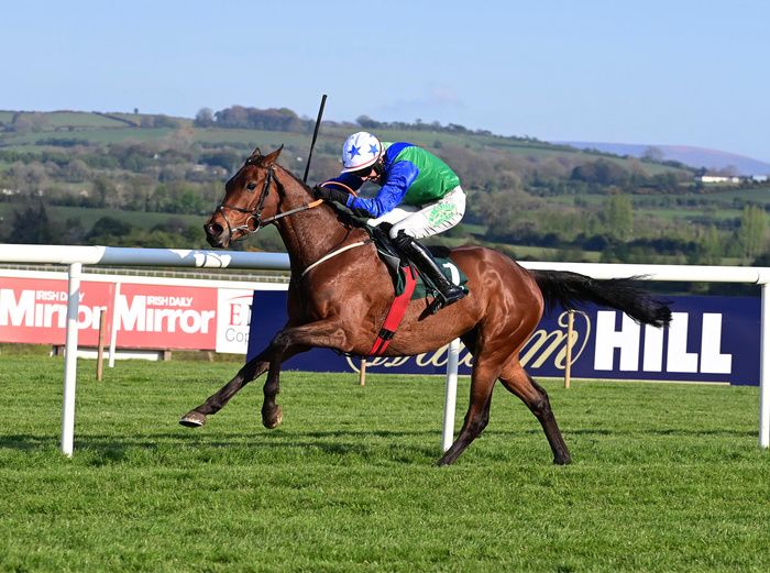 Unbeaten Absolute Notions was declared for the Grade 2 Navan Novice Hurdle