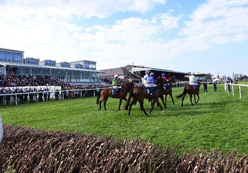 News Free Entry to Punchestown on New Years Eve