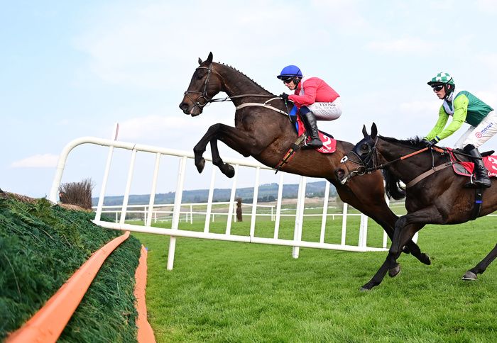 Allaho produced an exceptional performance at Punchestown