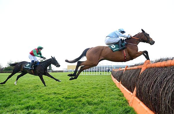 Honeysuckle jumps the last in front of Echoes In Rain