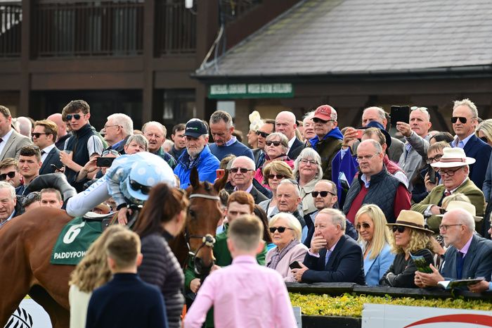 Punchestown stage their big John Durkan Chase meeting on Sunday afternoon. 
