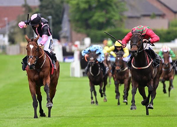 Gallyhill, left, beats Sholsang