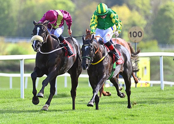 Inchturk and Ronan Whelan left win the Open Singles Thursdays Maiden.