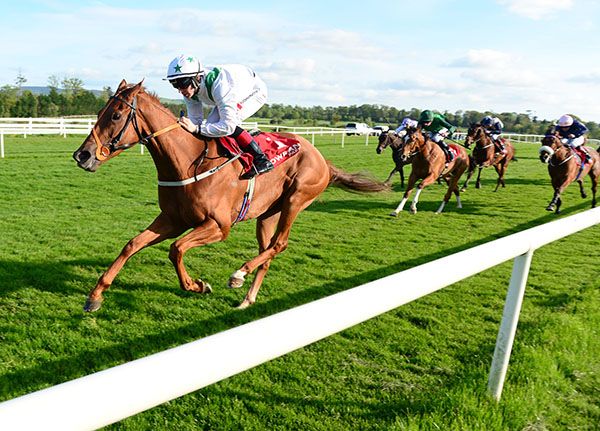 Rumbles Of Thunder winning the Irish Stallion Farms EBF Victor McCalmont Memorial Stakes