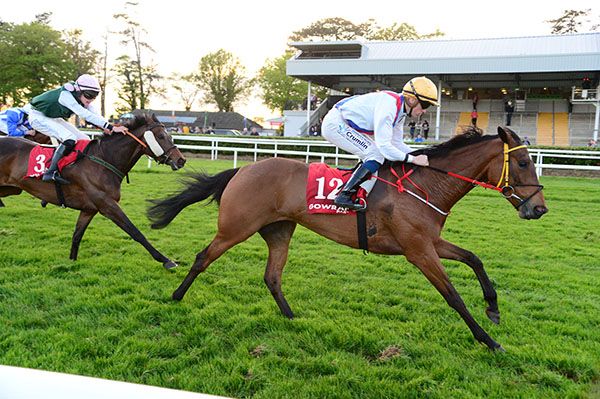 Hanbags N Gladrags won the finale at Gowran Park. 