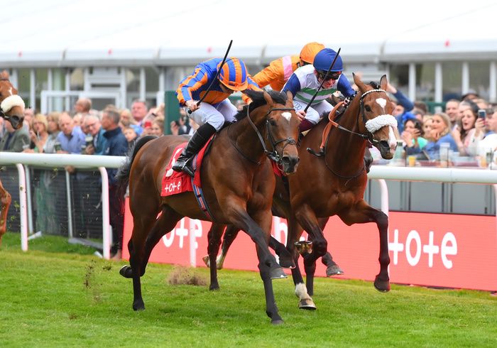Cleveland and Ryan Moore (nearest)