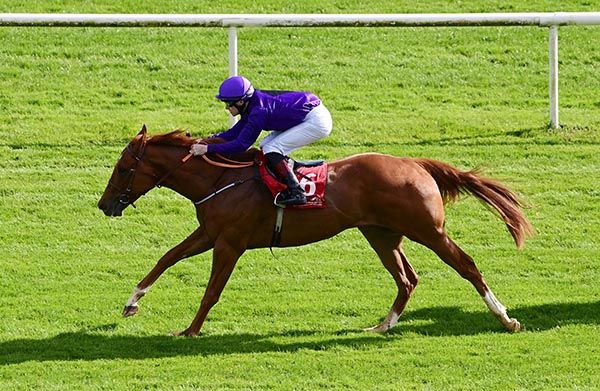 Furnace Creek and Luke McAteer 