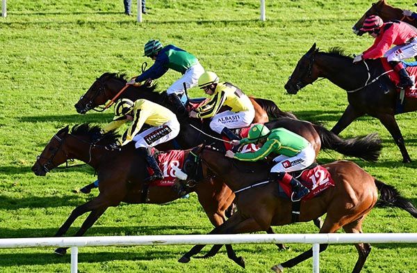 Lord Dudley and Jake Coen (yellow with black striped cap) win the Mallow Handicap 