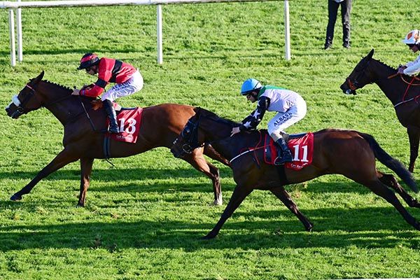 Golden Days (13) and Ronan Whelan