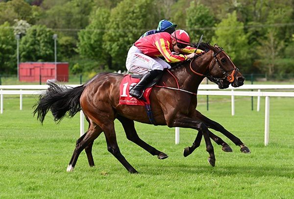 Stormalong and John Gleeson