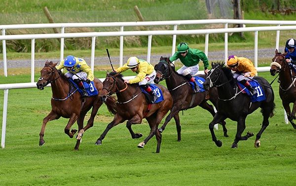 Fools Glory, far side, fends off Adhuil