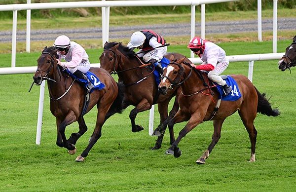 Lord Erskine, outer, comes to claim Sionnach Eile