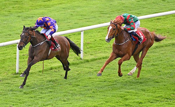 Lady Arwen and Luke McAteer left wins the Golf At Gowran Park Handicap