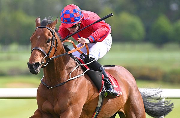 Urban Oasis and Jamie Powell win the Societies Welcome At Gowran Golf Club Handicap 