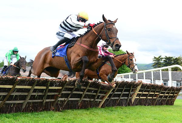 The Dasher Conway and Keith Donoghue win the Talbot Hotel Clonmel Handicap Hurdle 