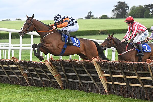Steppenwolf and Luke Dempsey win the Team Powerstown Handicap Hurdle 