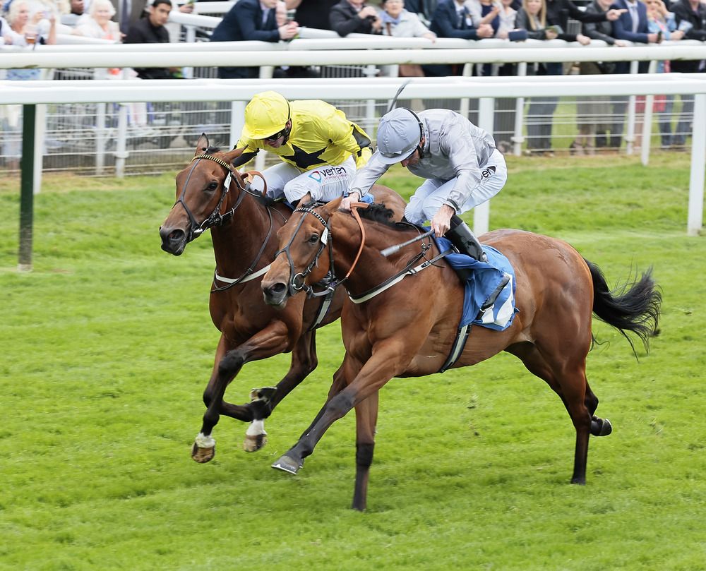 Pillow Talk (near side) beating Yahsat in the Marygate Fillies Stakes at York