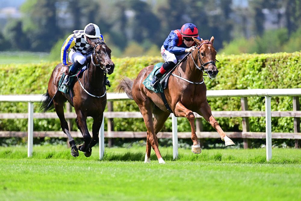 Harry Time wins under Leigh Roche 