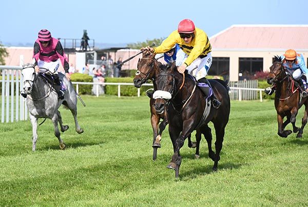 Beyond Ambitious and Ben Harvey 