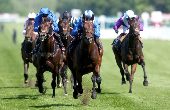 Real World (left) finished second to Baaeed in the Lockinge