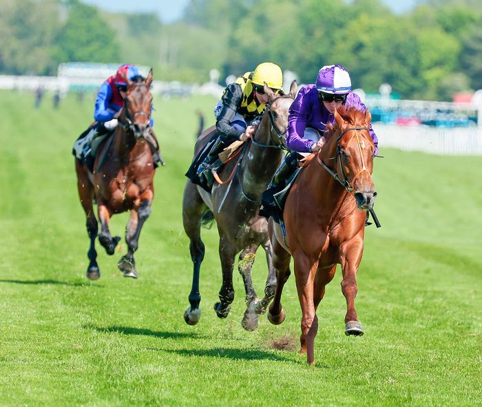 Persian Force holds leading claims in the July Stakes 