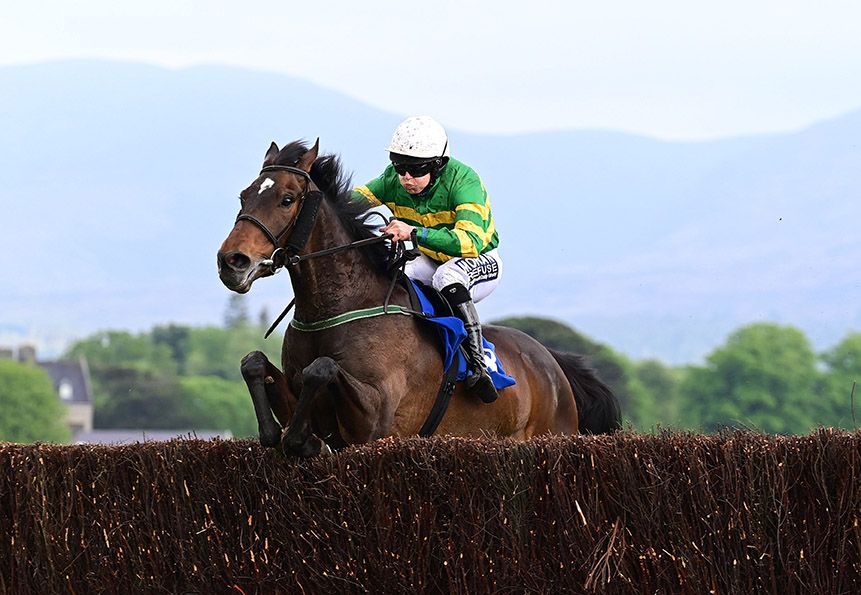 Stealthy Tom and Shane Fitzgerald  