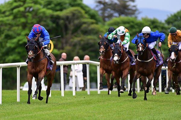 Mass Gathering leads home her rivals under Gearoid Brouder