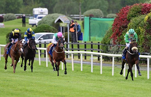 Start Line and Shane Foley are clear of their rivals in the Killarney opener